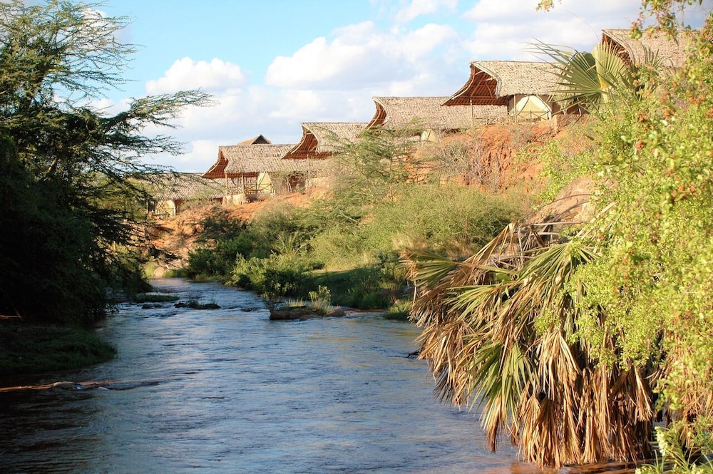 Man Eaters Lodge