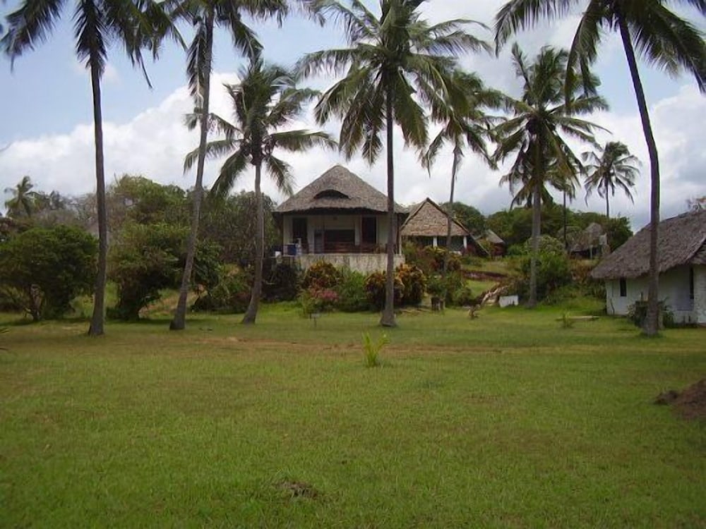 Photo 45