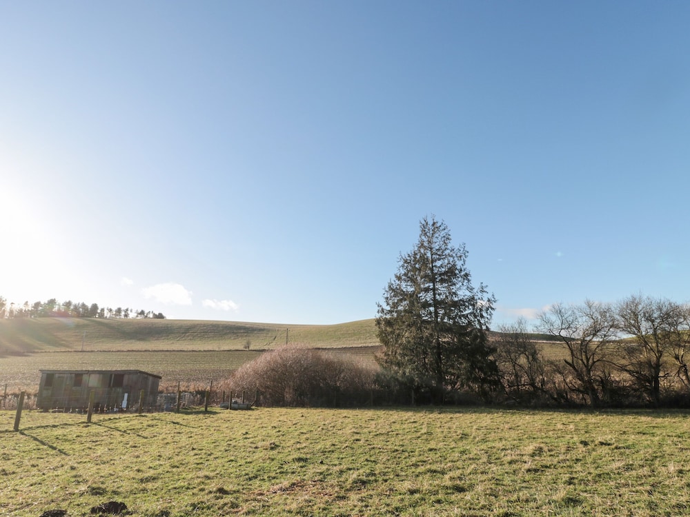 Cheviot View