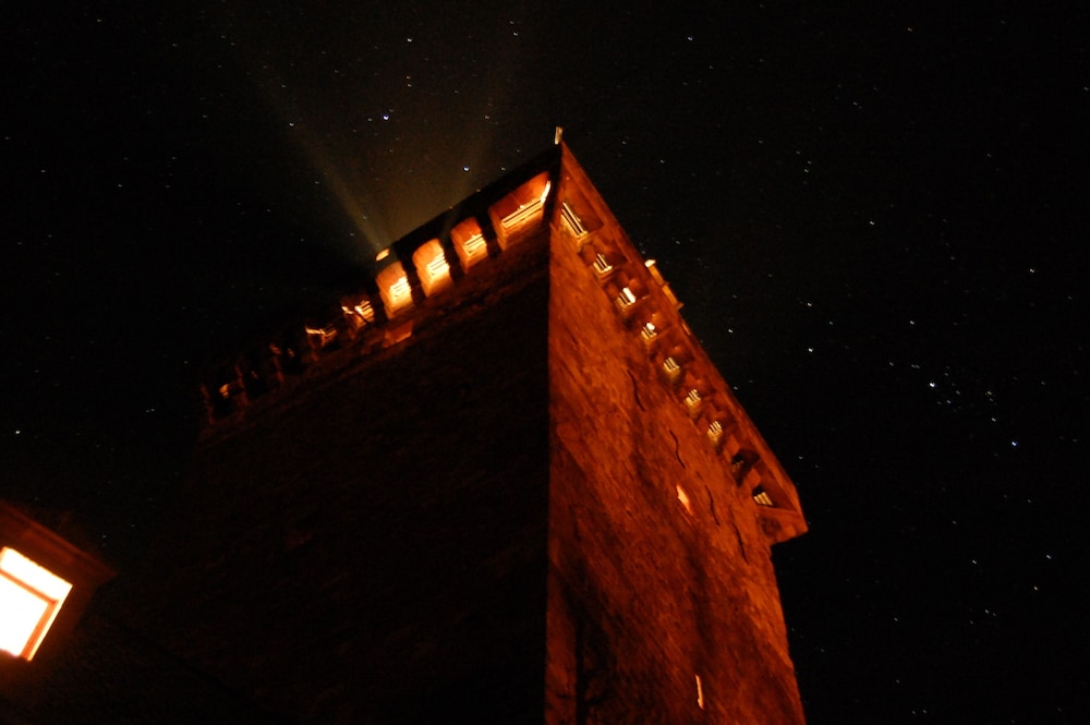 Photo 41