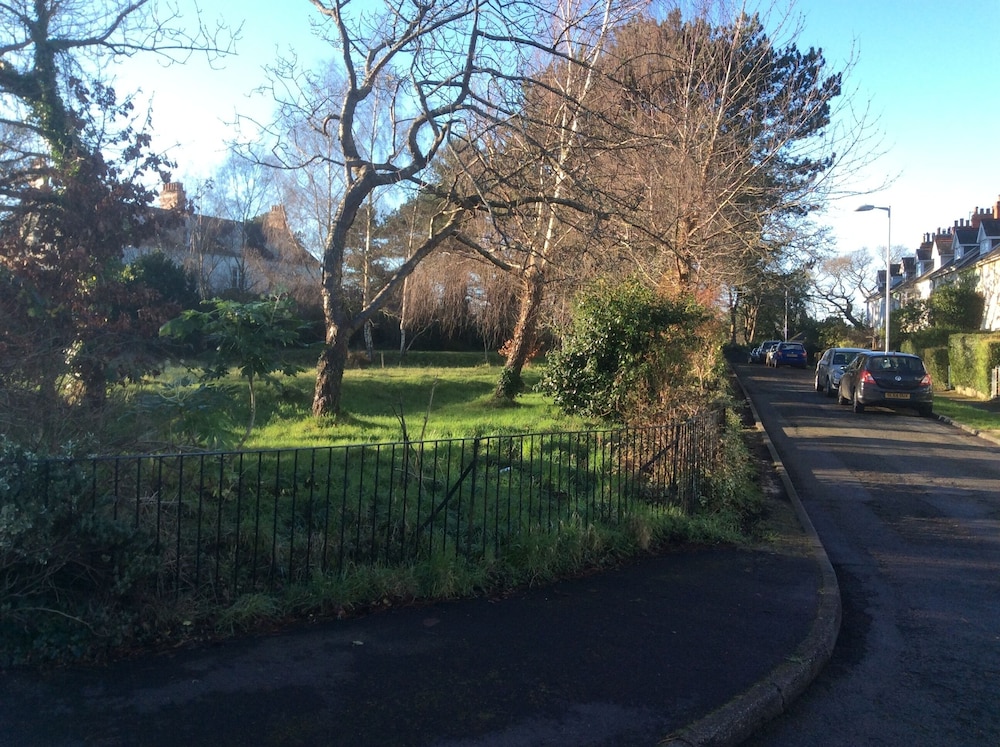Photo 19