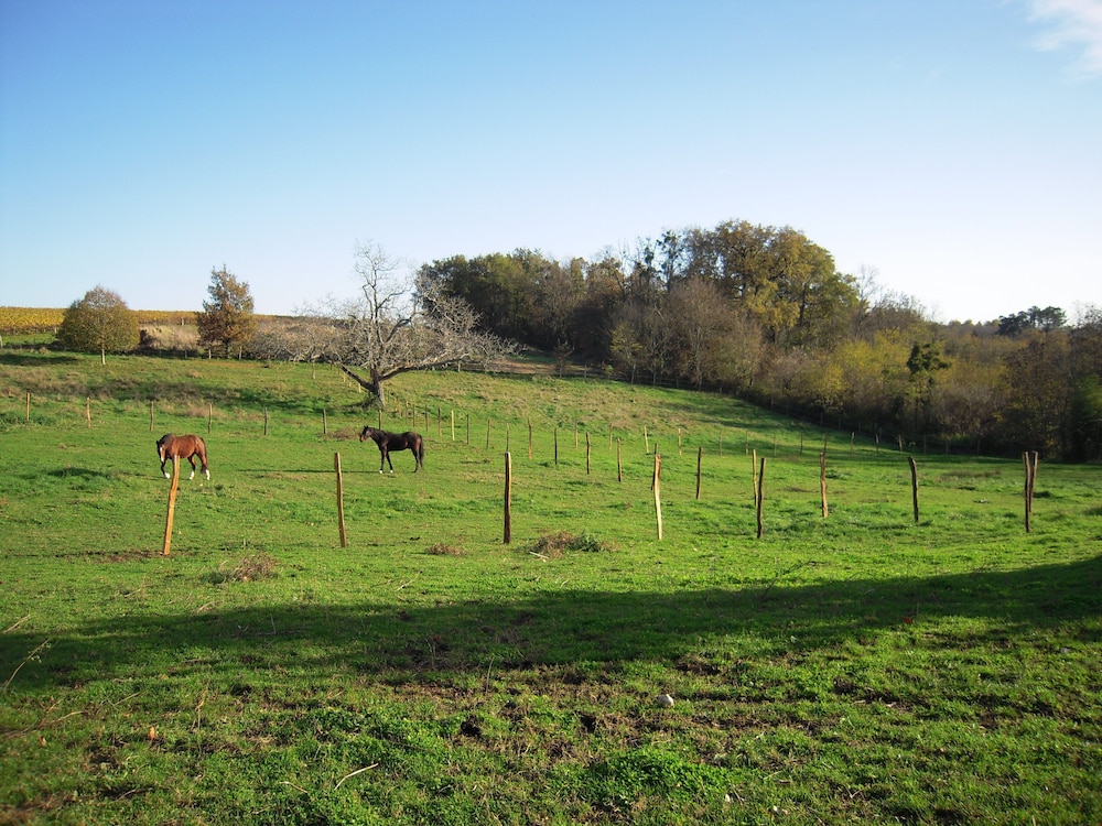 Domaine de L'estuaire