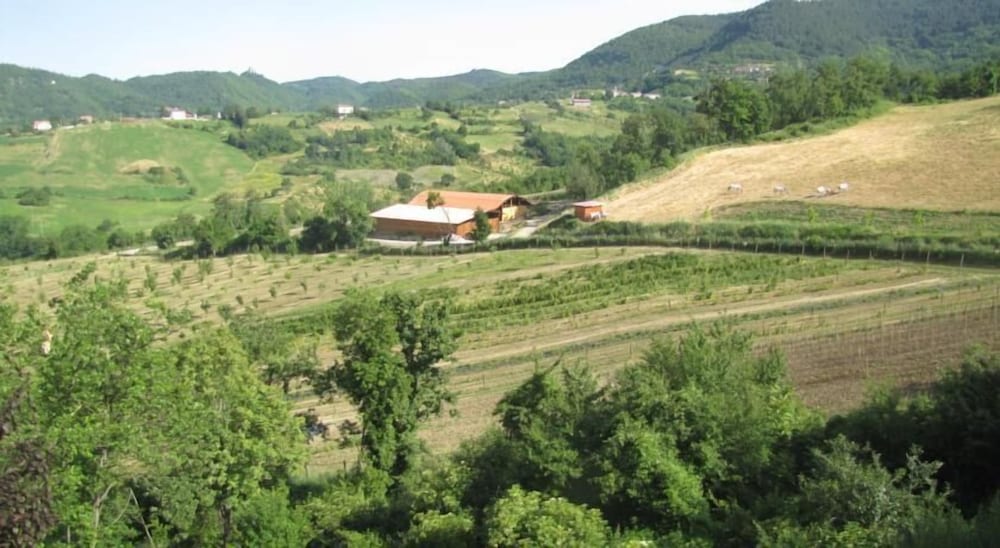 Agriturismo Ca' De Figo