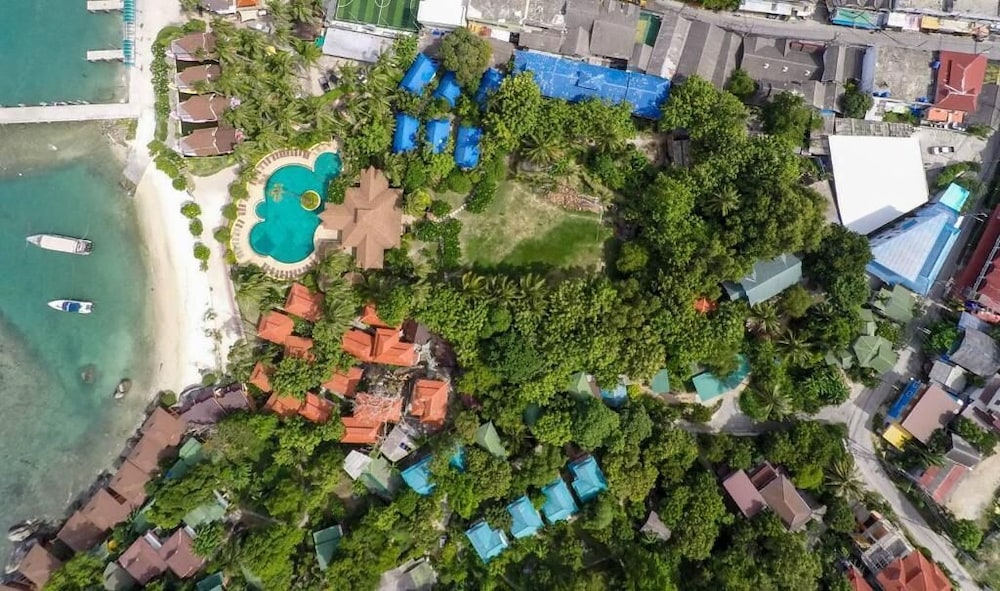 Jungle Gym & Eco Lodge - Hostel