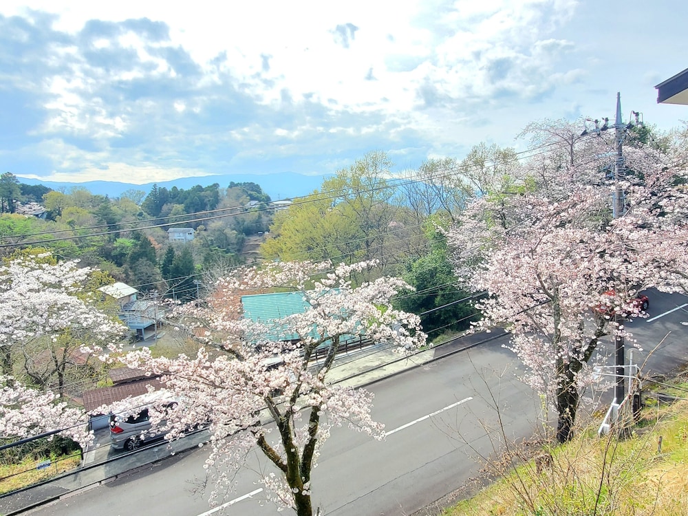 Syuzenji forest