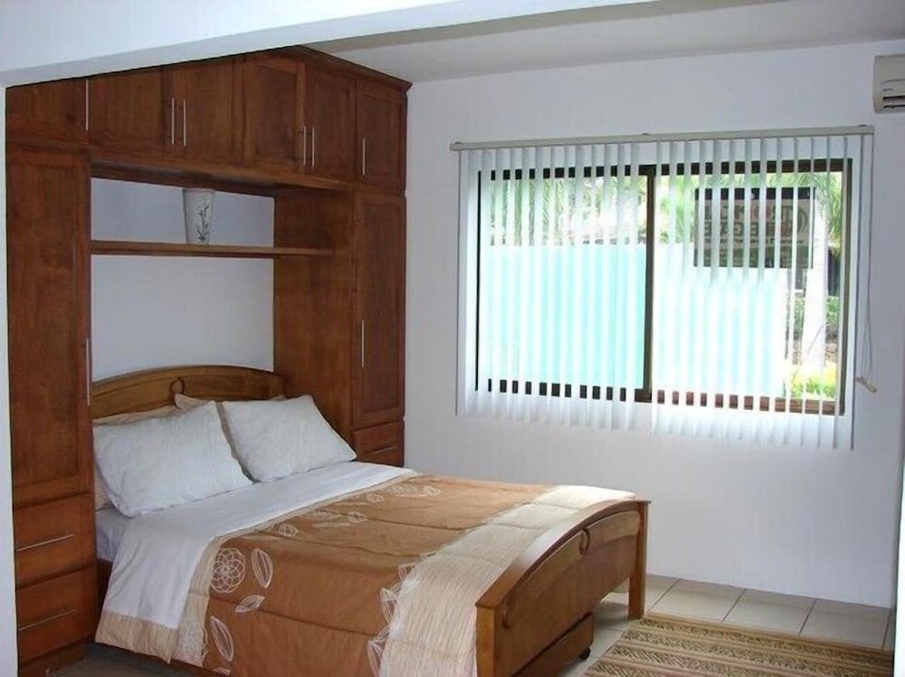 Green Forest of Coco Beach Studios