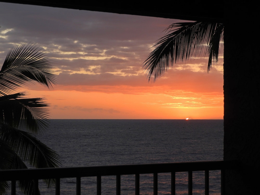 Ocean Front - Walk to Kona Town! - Vrkcv