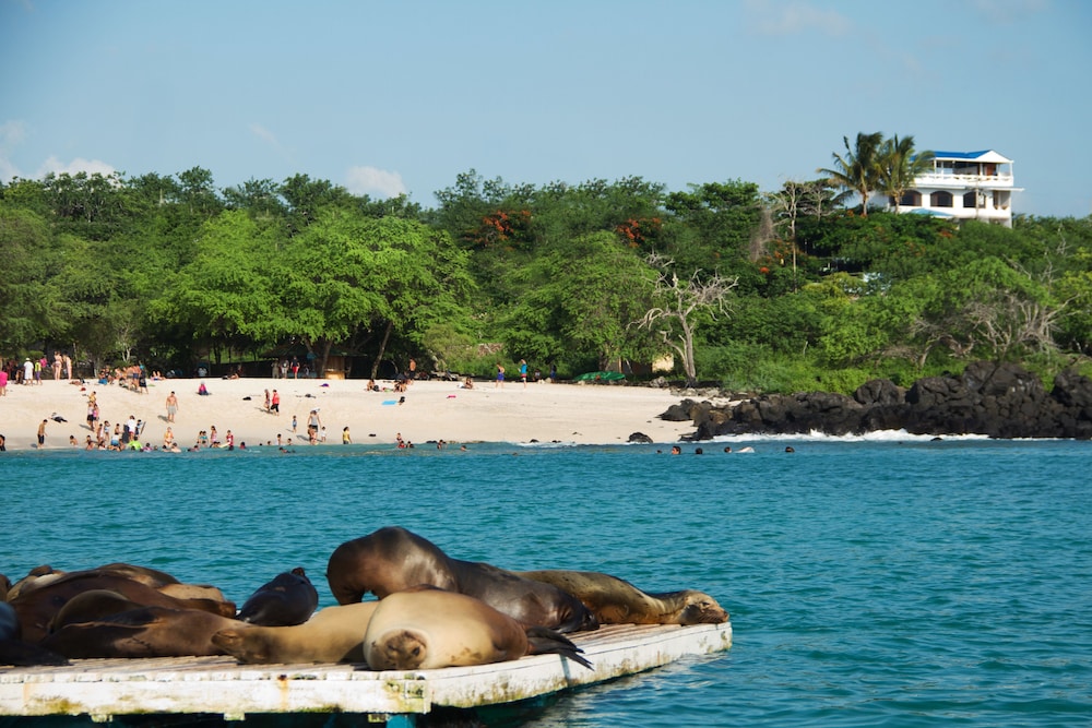 Casa Playa Mann