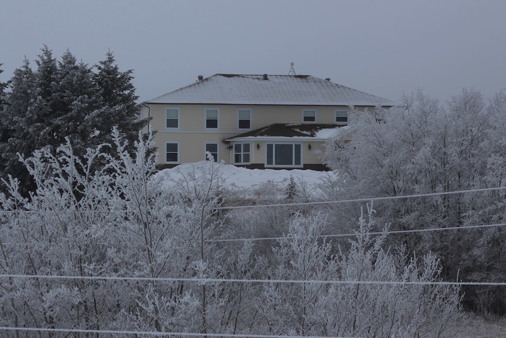 Honeycomb Bed & Breakfast