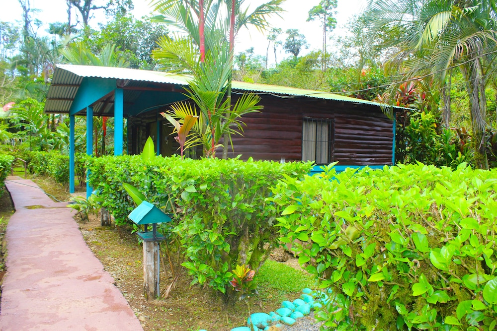 Posada Río Celeste La Amistad