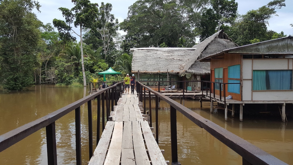 My Amazon Lodge