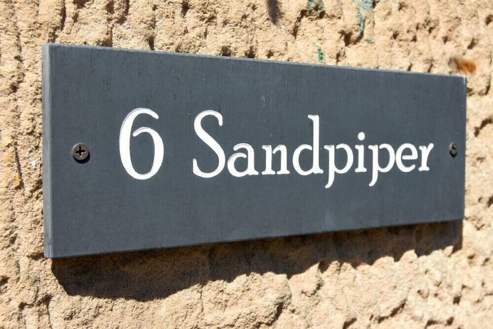 Sandpiper