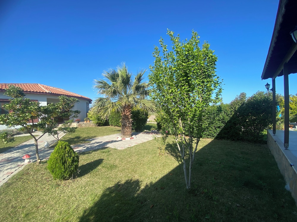 Karina Vineyard Evi - Image 29