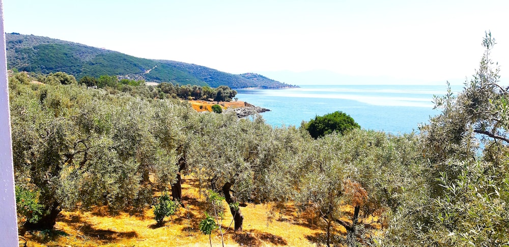 Villa Leonidas GreeceFiloxenia photo 4
