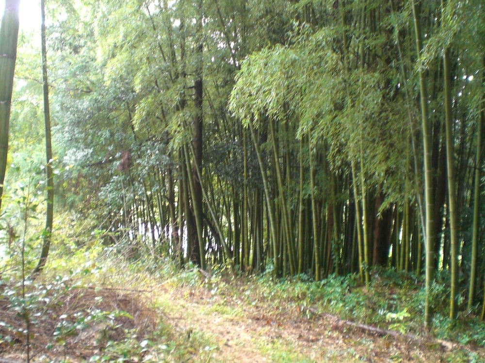 Kakinouen