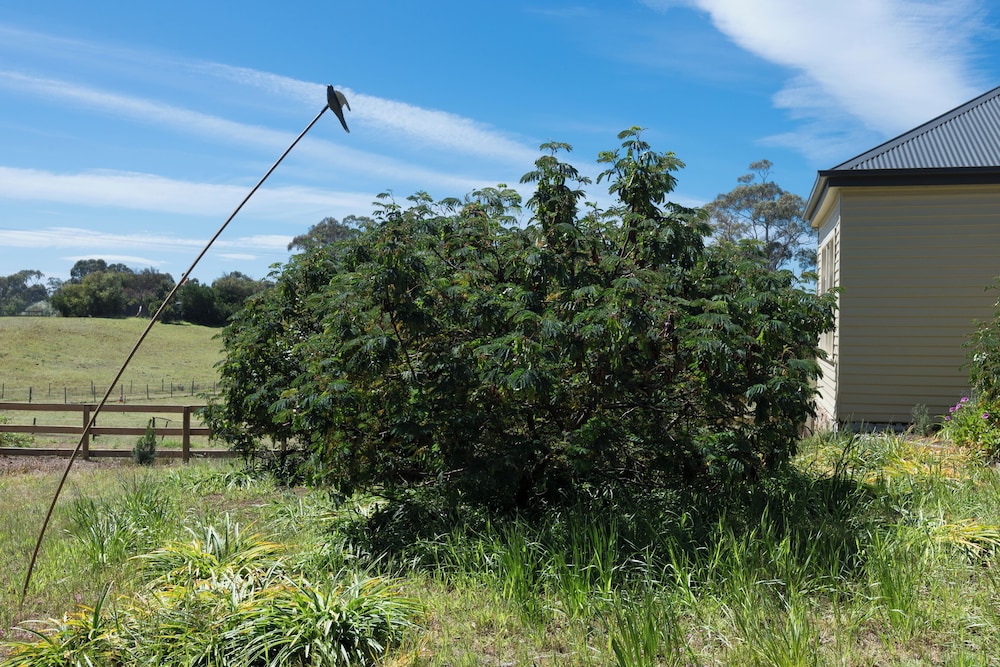 Lauriston Homestead