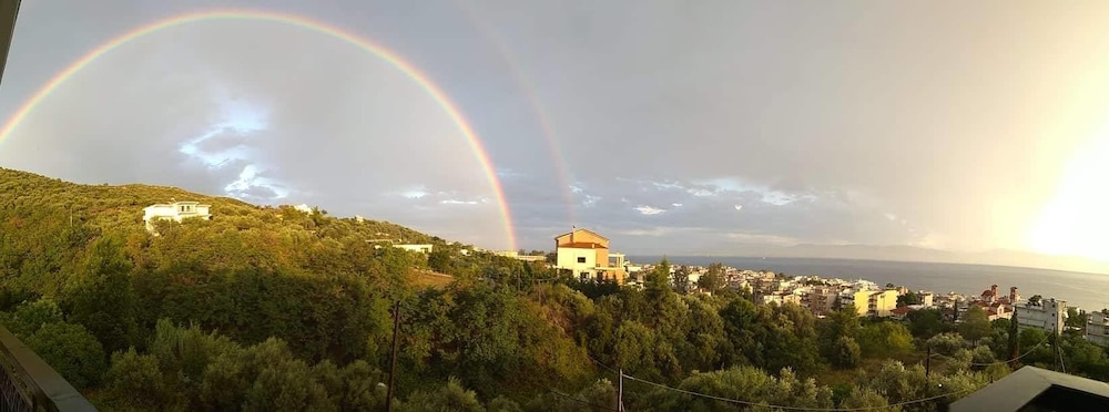 Anemos studios photo 2