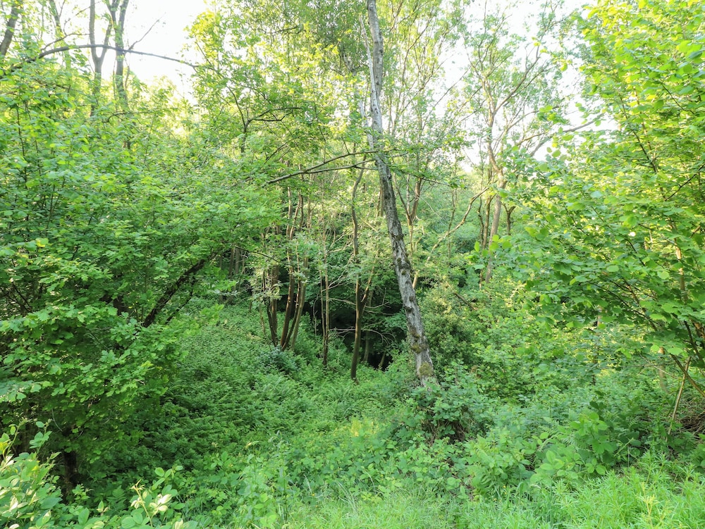 The Barn at Catacol