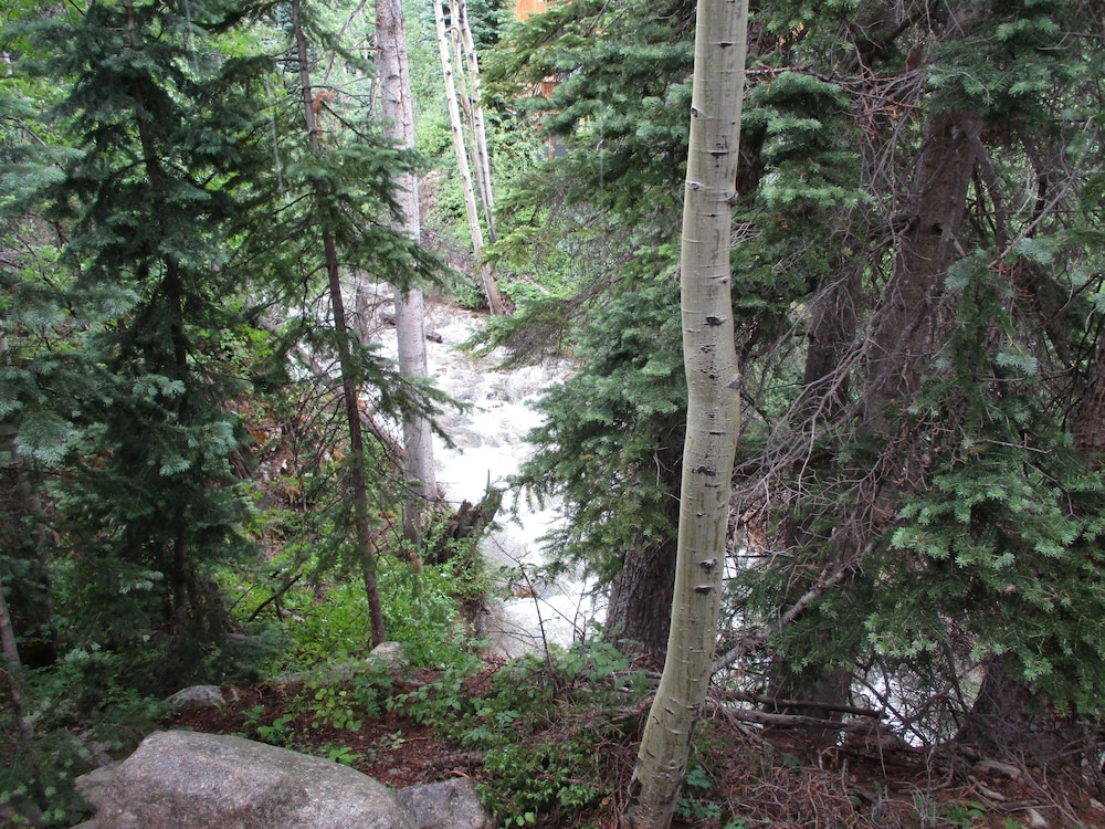 Forest Creek Cabin 3 Bedroom Holiday Home By Pinon Vacation Rentals