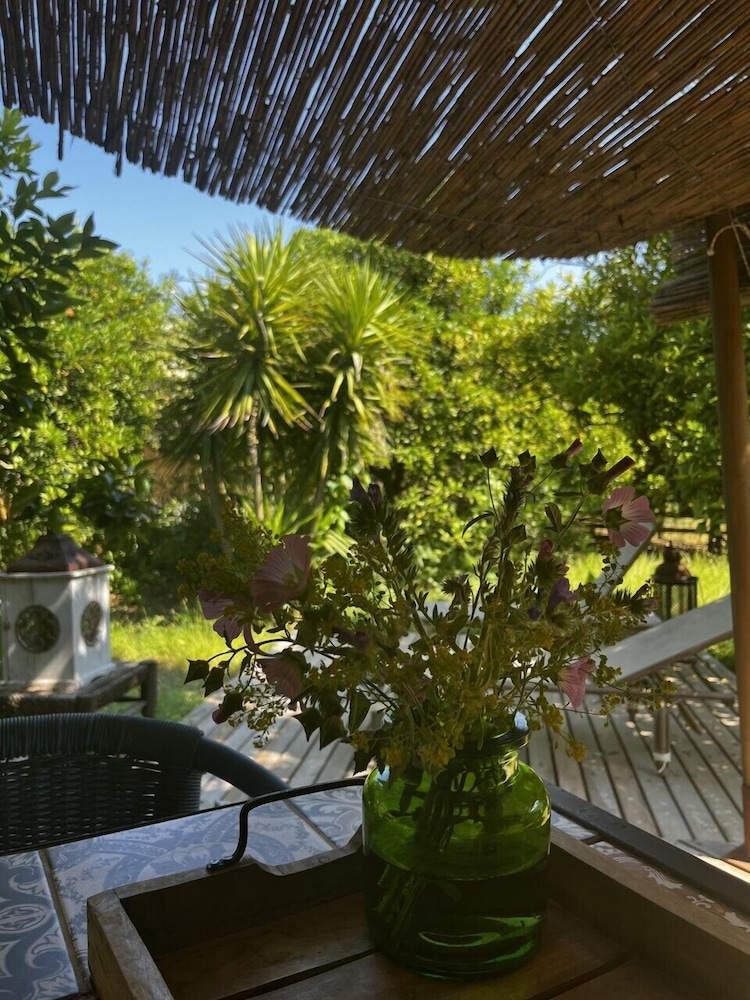 Campo Portakal Eco Glamping Cirali