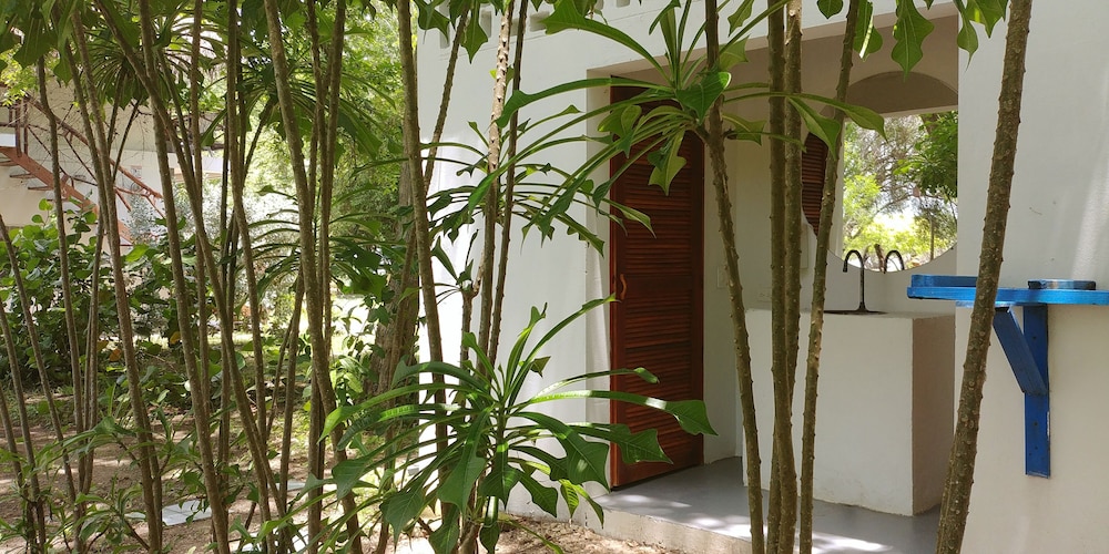 Media Luna Hostel Baru