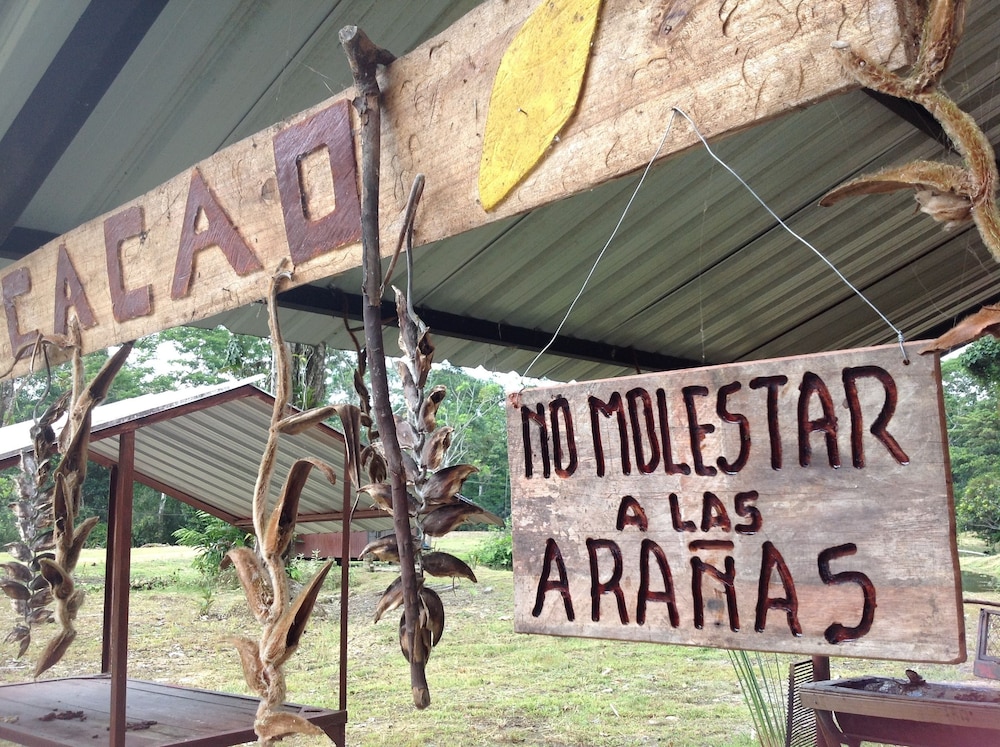 Grand Selva Lodge & Tours