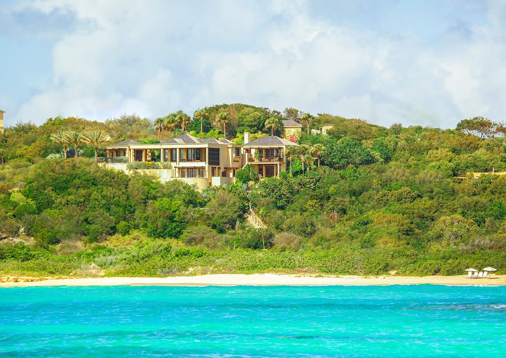 Anguilla's Bird of Paradise