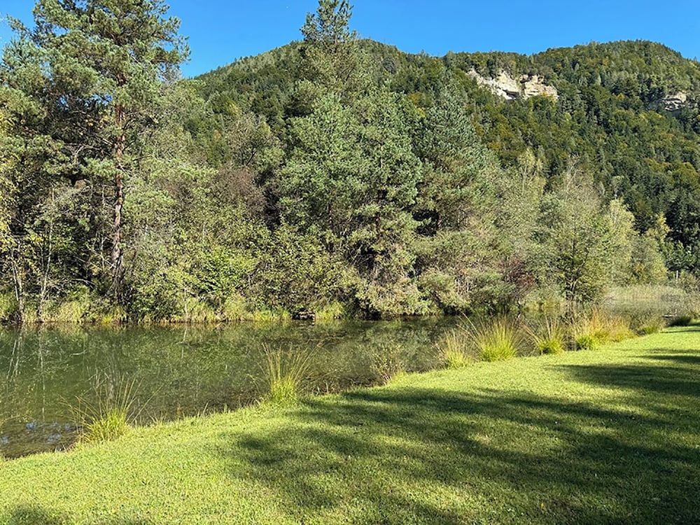 Drauinsel Chalet Linsendorf