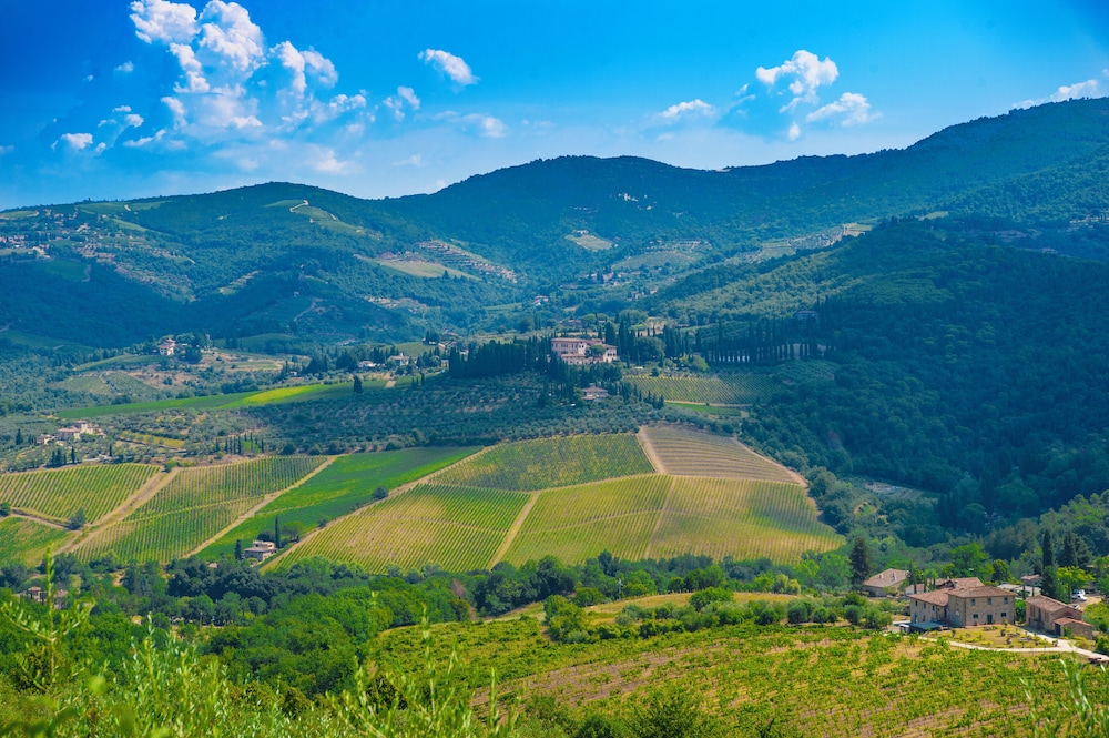 Villa Chianti With Pool Near The Vineyard photo 5