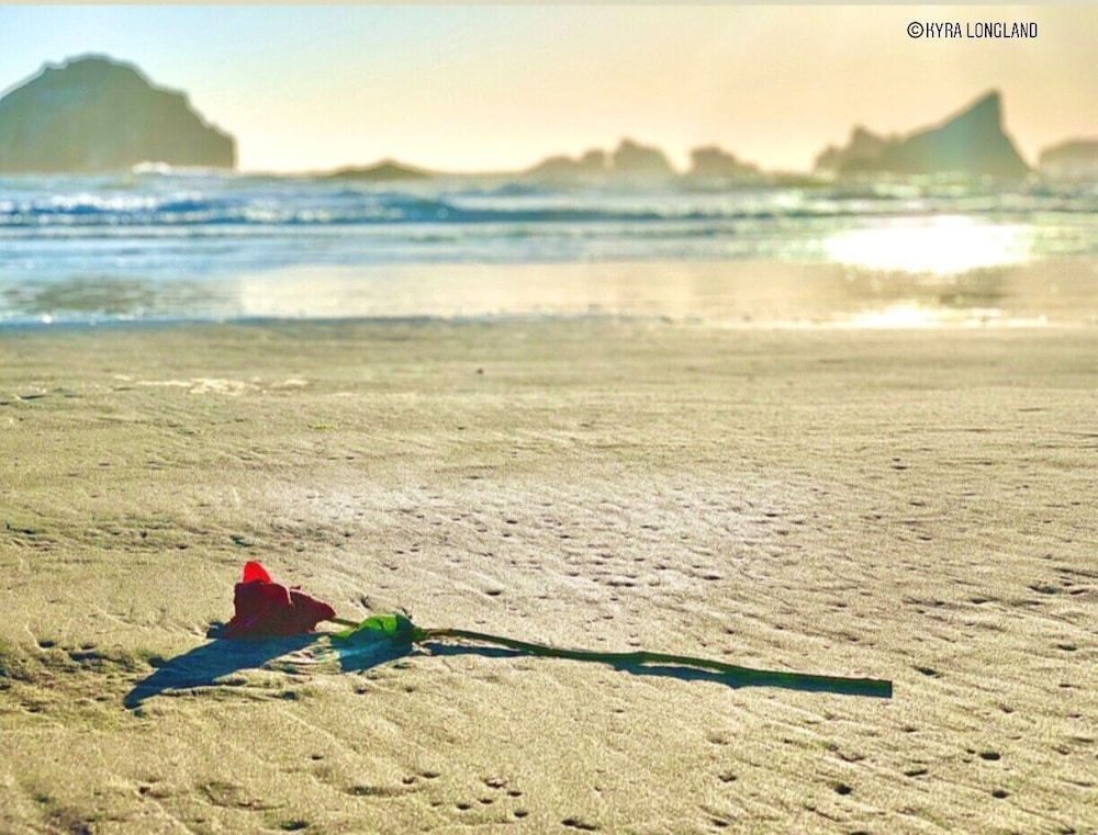 Sunset Oceanfront Lodging
