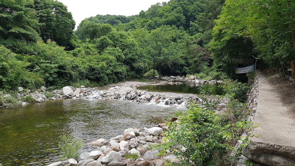 Photo 41