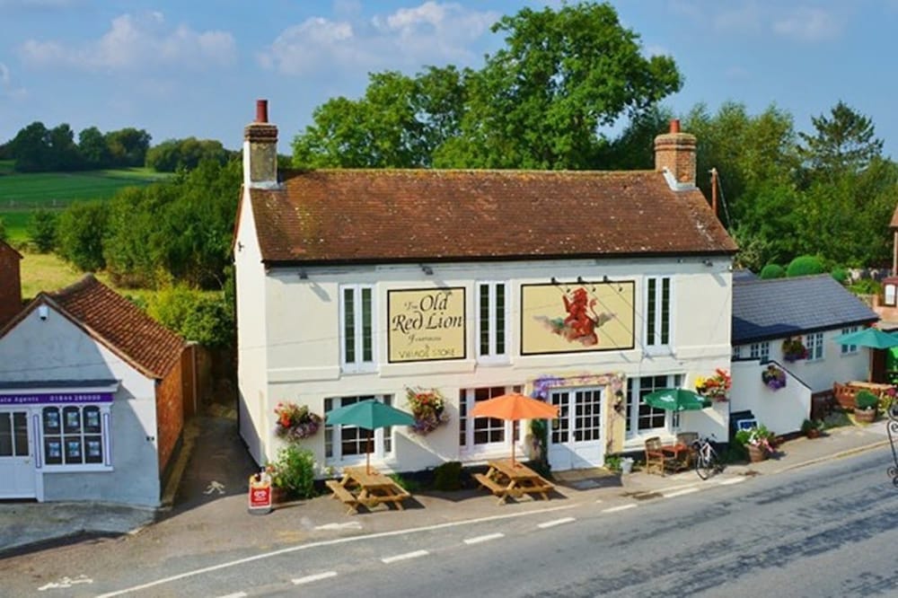 The Old Red Lion view 5
