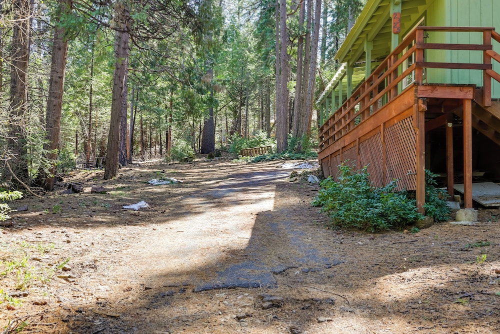 Stay Near Big Trees, Bring Your Pets: Arnold Cabin