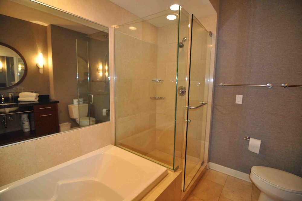 Chicago Downtown Condo - Michigan Ave Suite ID 14-15 view 3