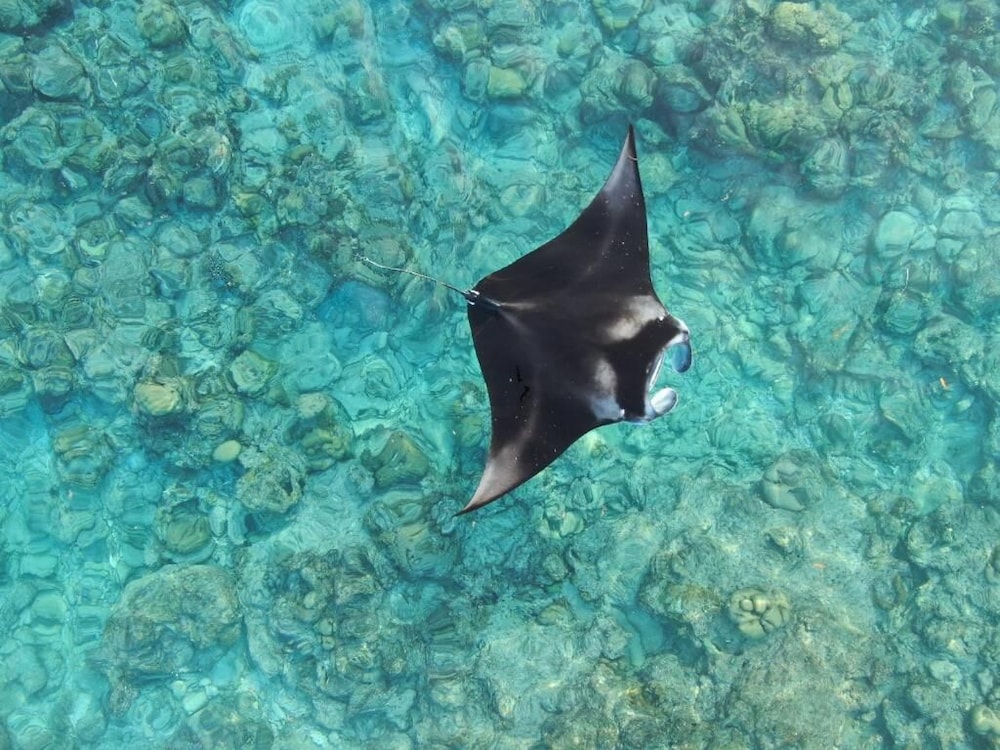 HI HEAVEN MALDIVES