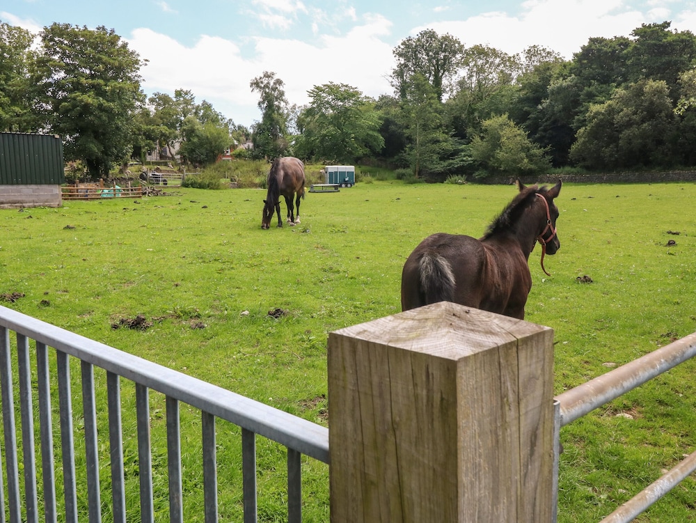 Coed y Glyn Bach Equestrian