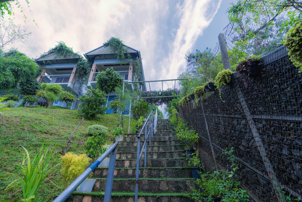 Floresta resorts