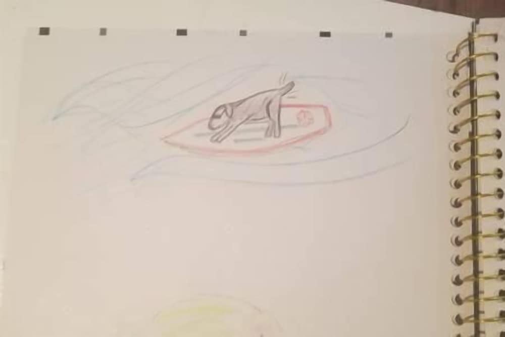 Photo 44