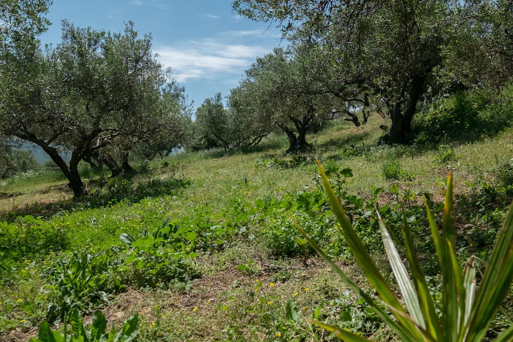 Traditional Cretan Family Home