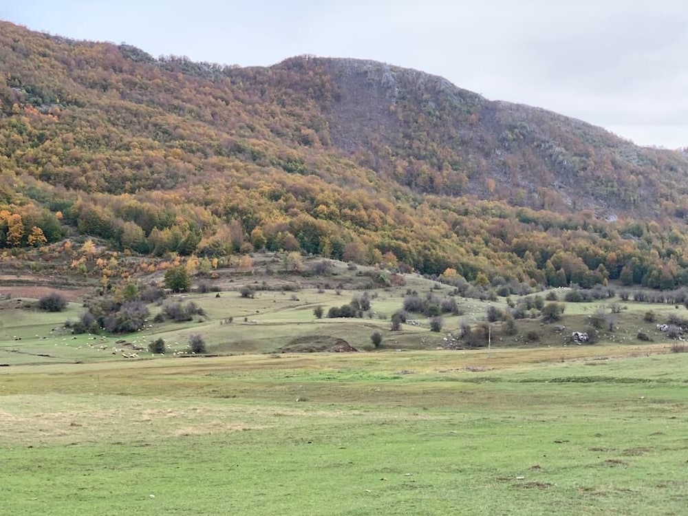Joen Village