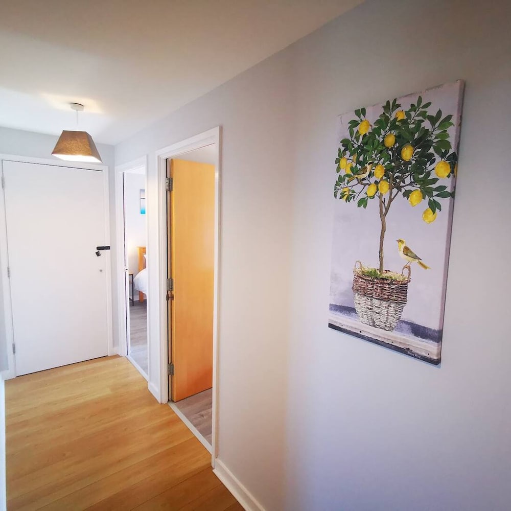 2BR Spacious City Centre Apartment view 5