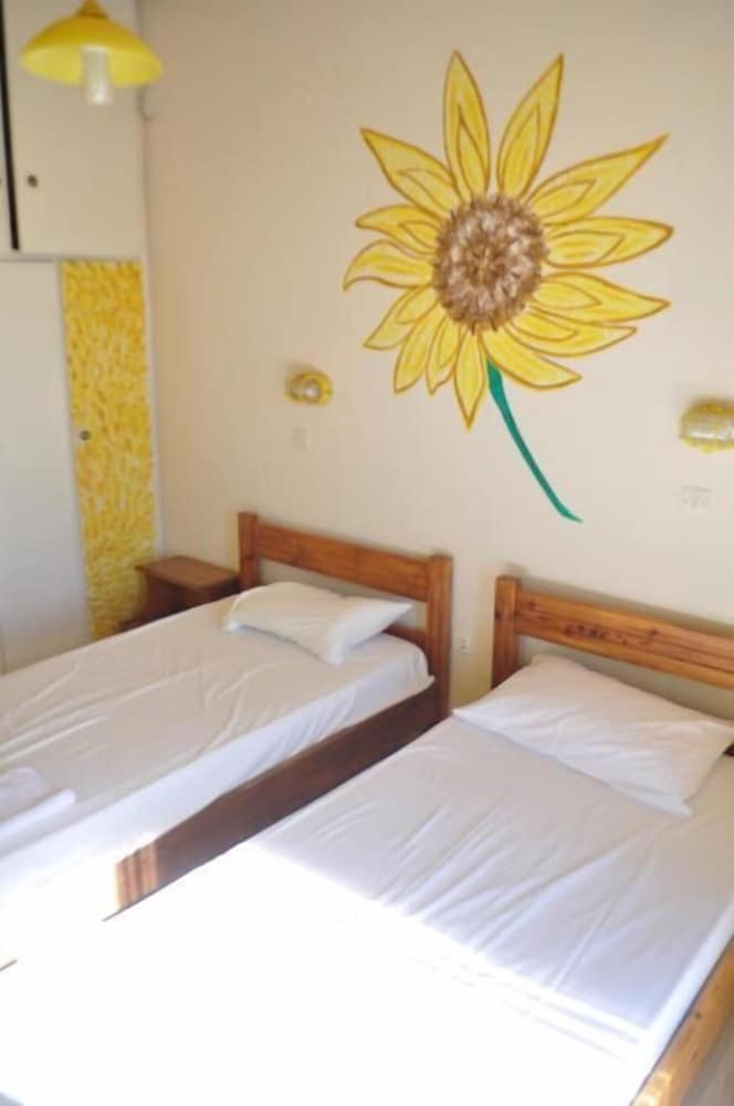 Comfy Hostel Studios photo 5