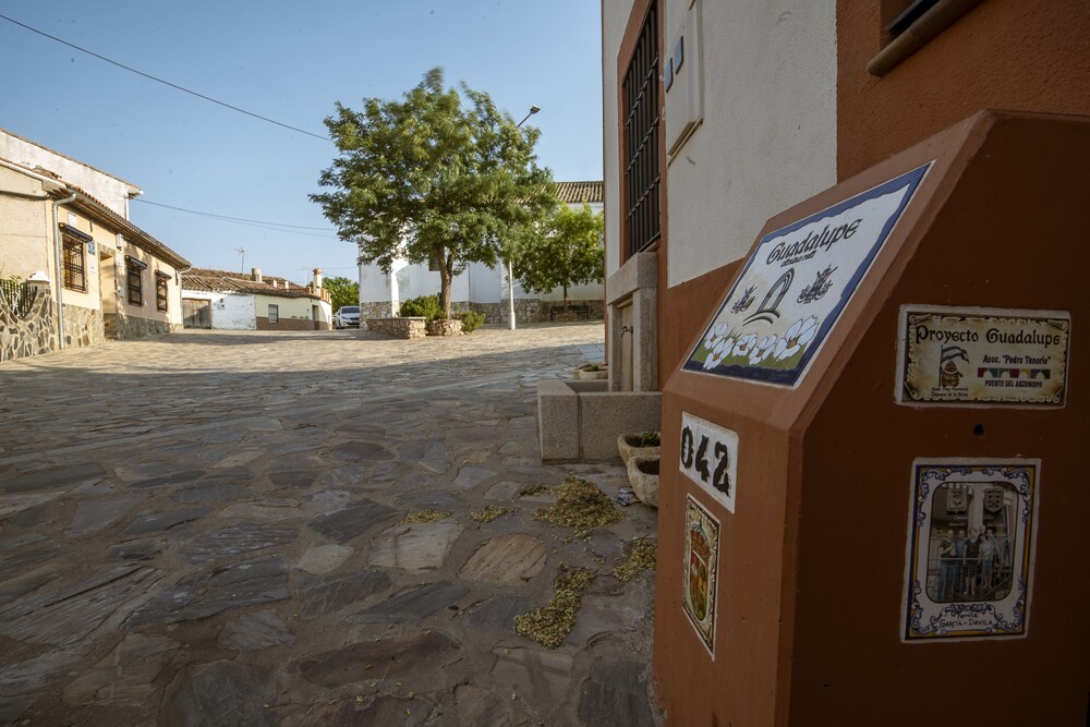 Photo 22