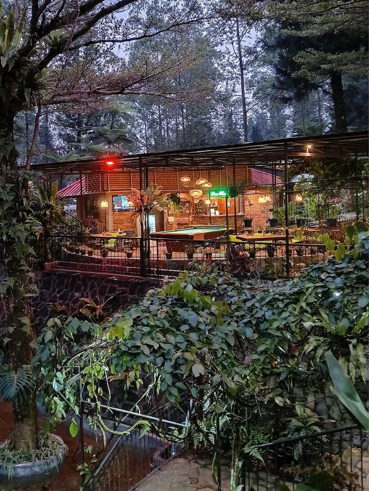 The Pinewood Lodge & Organic Farm