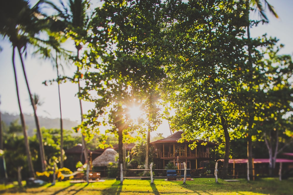 Hotel Tambor Tropical - Adults Only - Image 1