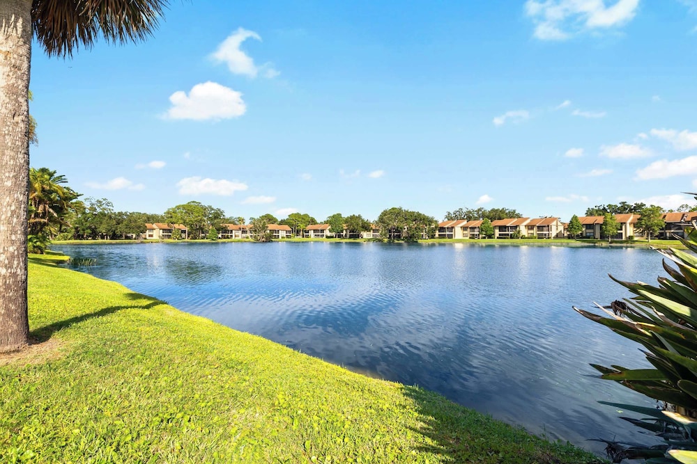 Modern Lakeside Condo 2 Bed, 2 Bath Oldsmar, FL