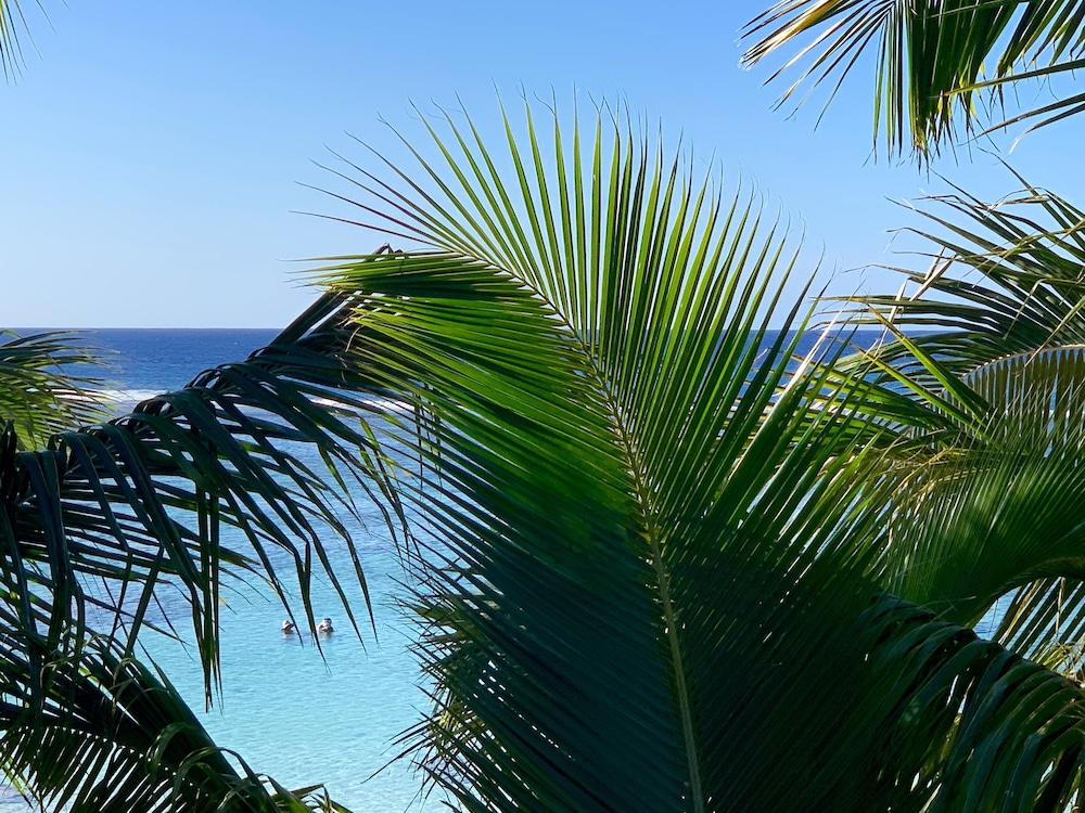 Rarotonga Villas