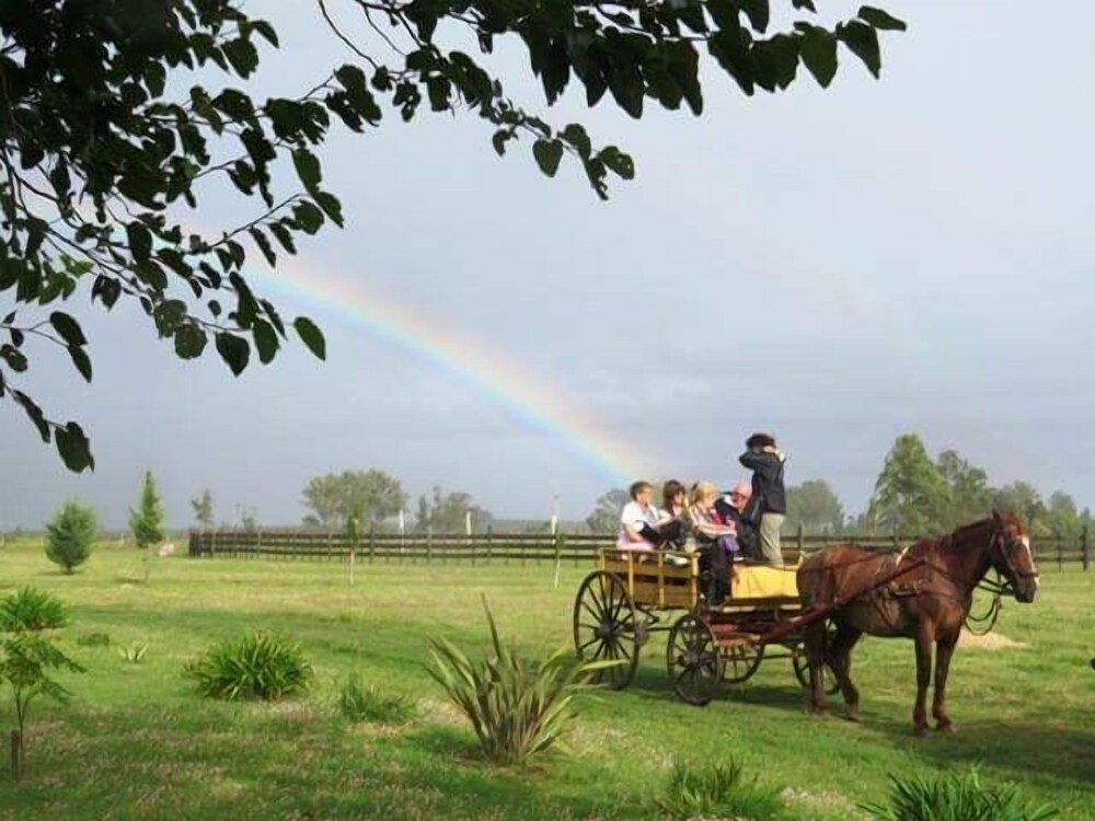 Finca Piedra