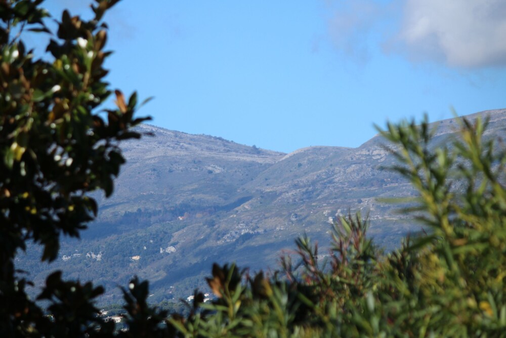 Photo 40