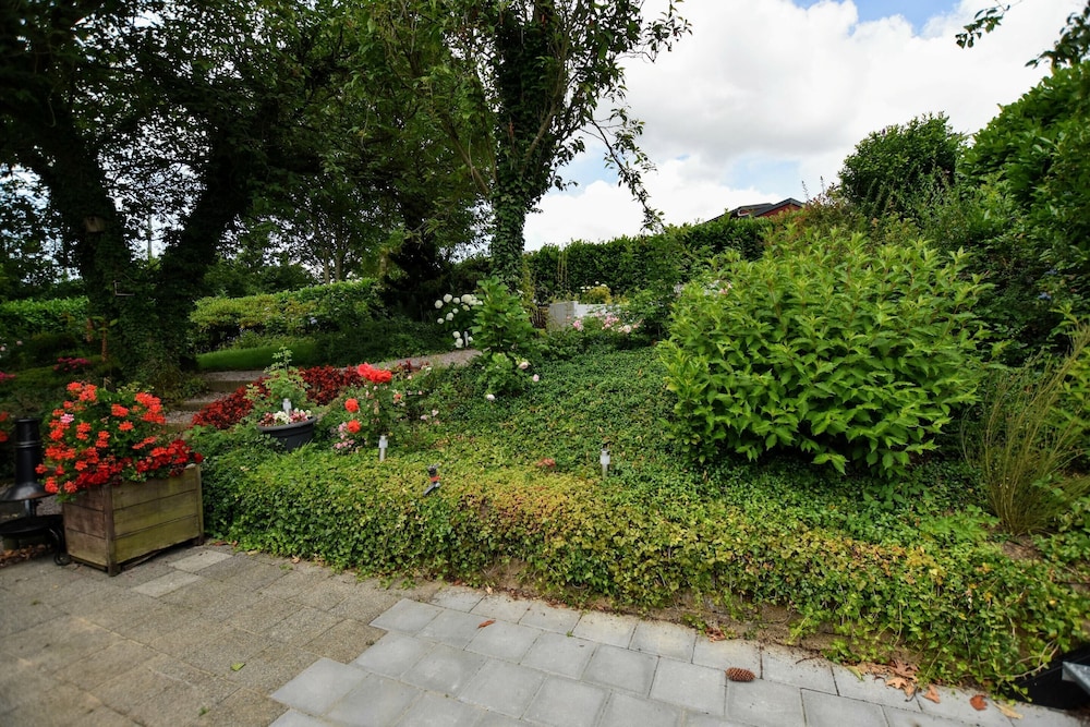 Photo 25